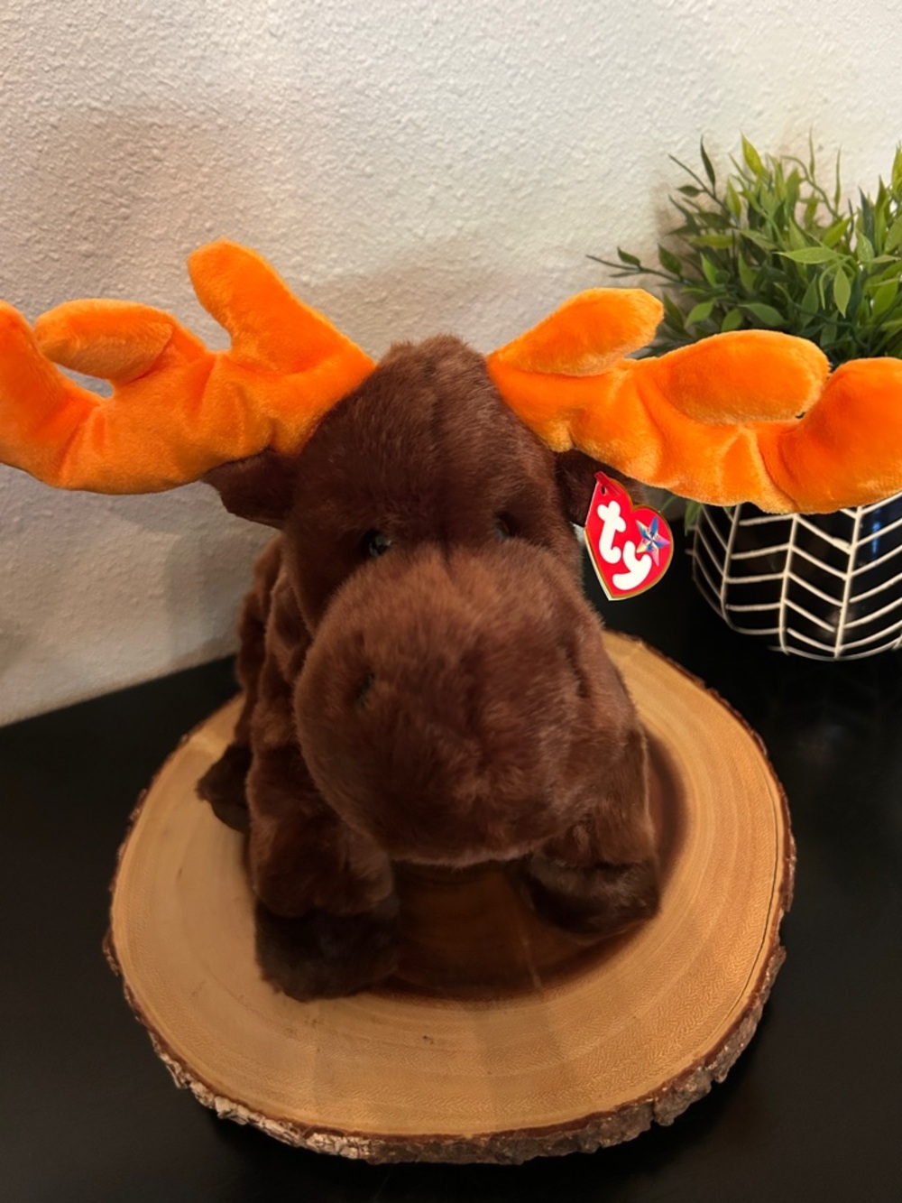 NWT Ty Plush Chocolate‎ The Moose with Brown Body and Orange Antlers 10in
